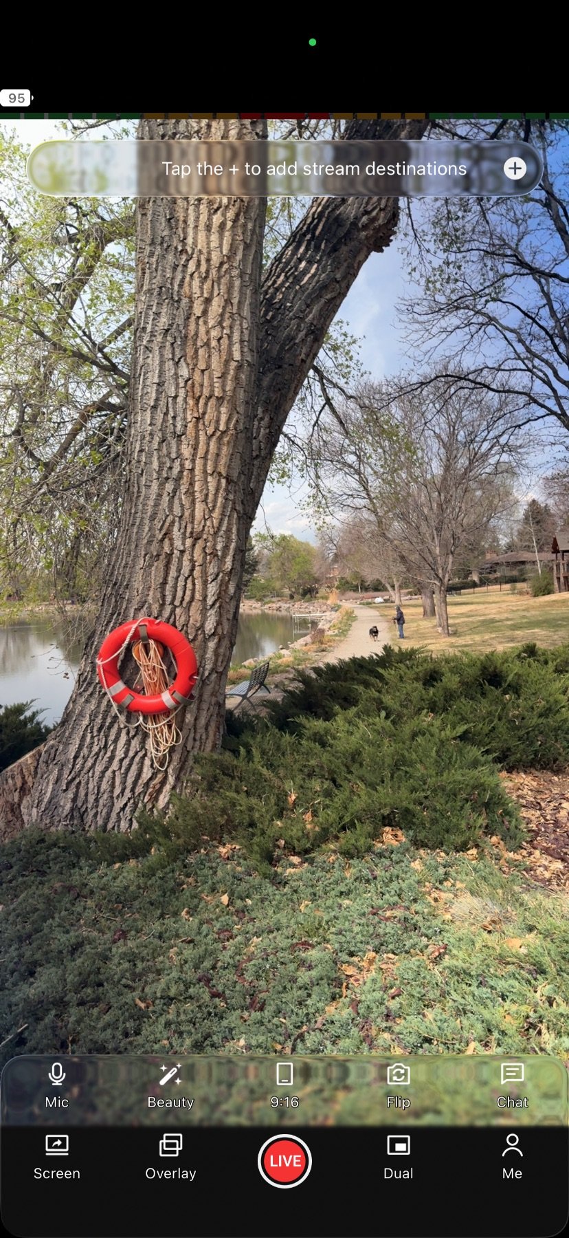 Step 4: Vertical View