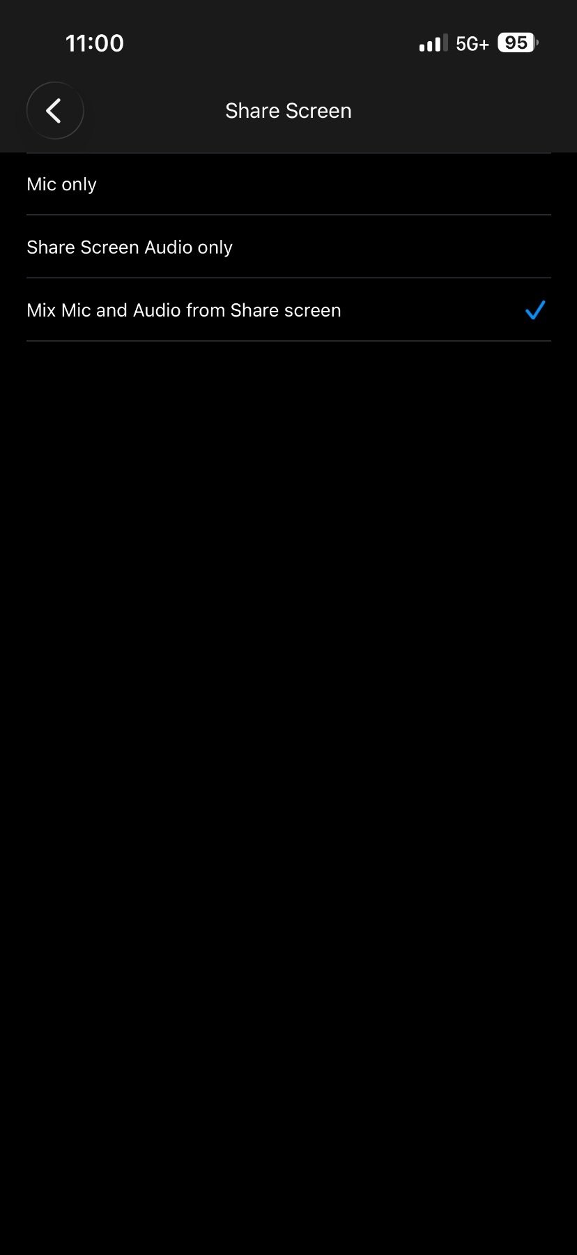 Step 11: Choose Audio Mix