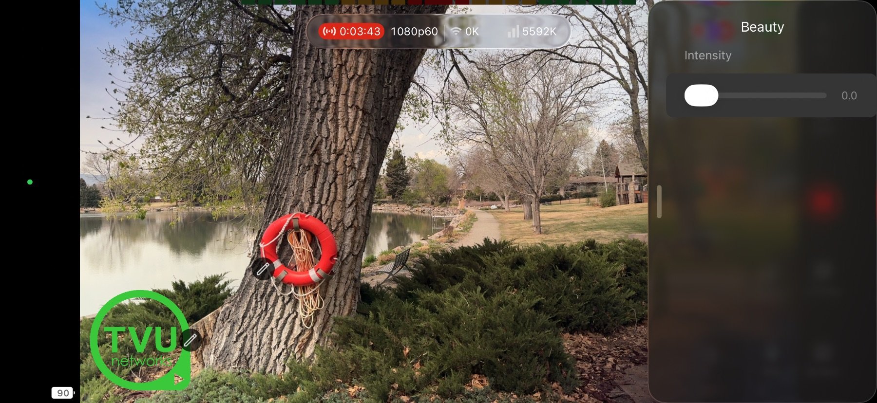 Step 37: Adjust Beauty Intensity